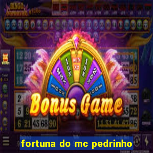 fortuna do mc pedrinho